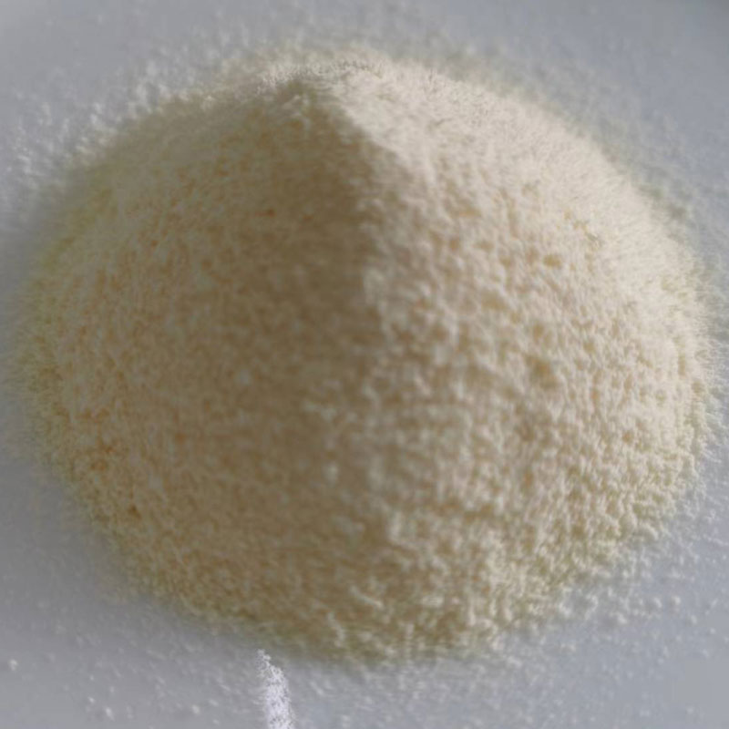 ครีมเทียมที่ไม่ใช่นมแก้ท้องเฟ้อช่วยปรับปรุงสุขภาพทางเดินอาหารของคุณได้อย่างไร?